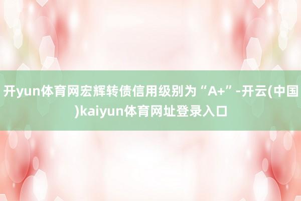 开yun体育网宏辉转债信用级别为“A+”-开云(中国)kaiyun体育网址登录入口