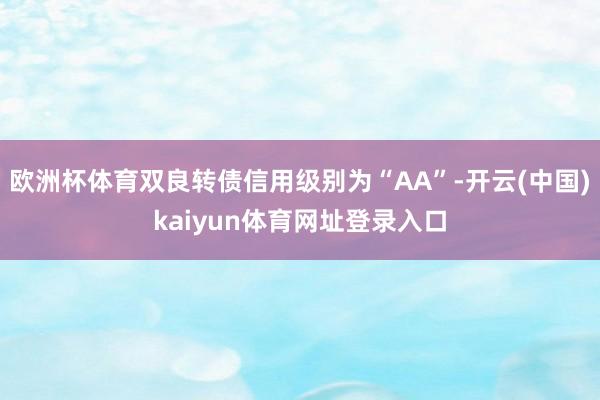 欧洲杯体育双良转债信用级别为“AA”-开云(中国)kaiyun体育网址登录入口