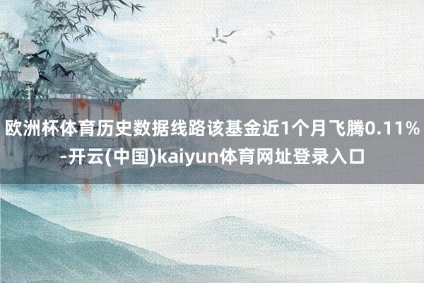 欧洲杯体育历史数据线路该基金近1个月飞腾0.11%-开云(中国)kaiyun体育网址登录入口