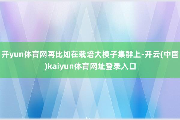 开yun体育网再比如在栽培大模子集群上-开云(中国)kaiyun体育网址登录入口