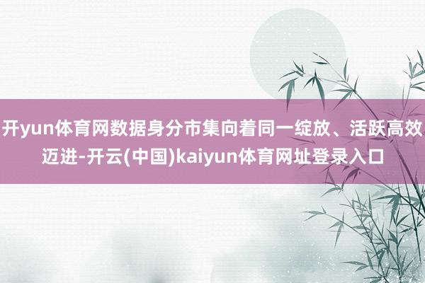 开yun体育网数据身分市集向着同一绽放、活跃高效迈进-开云(中国)kaiyun体育网址登录入口
